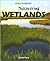Discovering Wetlands