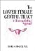 The Lower Female Genital Tr...