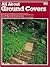 All About Ground Covers