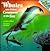 Whales and Other Creatures of the Sea