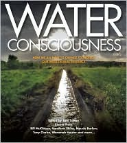 Water Consciousness: How We All Have To Change To Protect Our Most Critical Resource (Paperback)
