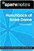 The Hunchback of Notre Dame