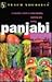 Panjabi Complete Course (Teach Yourself)