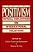 Beyond Positivism: Critical Reflections on International Relations