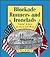 Blockade Runners and Ironclads: Naval Action in the Civil War (First Book)
