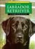 The Labrador Retriever (Learning About Dogs)