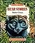 Bear Stories