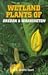 Wetland Plants of Oregon and Washington