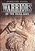 Warriors of the Dark Ages