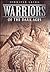 Warriors of the Dark Ages