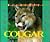 Cougar (Wildcats of North America)