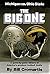 The Big One: A Game by Game History of the Michigan-Ohio State Football Rivalry, 1897-1980