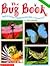 The Bug Book (Grades 1-4)