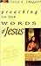 Preaching on the Words of Jesus: 4 Books in 1 (Chappell Sermon Library Series , So4)