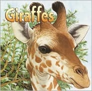 Giraffes (Paperback)