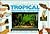 A Practical Guide to Setting Up Your Tropical Freshwater Aqua... by Gina Sandford A Practical Guide to Setting Up Your Tropical Freshwater Aqua... by Gina Sandford