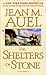 The Shelters of Stone (Earth's Children #5)