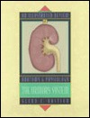 An Illustrated Review of Anatomy and Physiology: The Urinary System (Paperback)