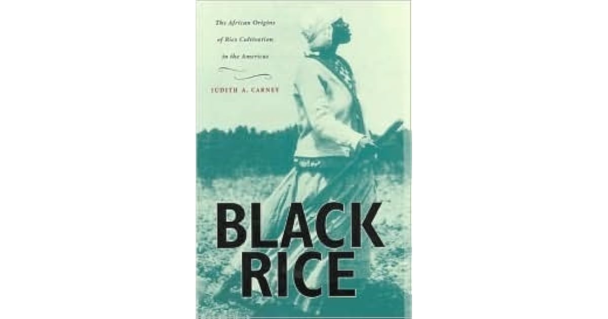 Black Rice The African Origins of Rice Cultivation in the