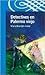 Detectives En Palermo Viejo (Spanish Edition)