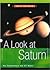 A Look at Saturn by Ray Spangenburg