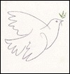 Picasso: In His Words (Hardcover)