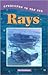 Rays (Creatures of the Sea)