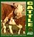 Cattle (Understanding Animals)