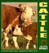 Cattle by Dorothy Hinshaw Patent