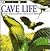 Look Closer: Cave Life