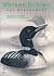 Wildlife Ecology and Management by Anthony R.E. Sinclair
