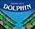 Story of a Dolphin (Picture Books)
