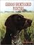German Shorthaired Pointers Today