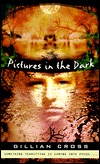 Pictures in the Dark (Paperback)