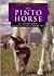 The Pinto Horse (Learning About Horses)