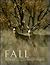 Fall