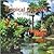 Tropical Gardens of Hawaii