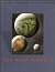 The Near Planets