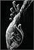 Claudia Fahrenkemper: Photomicrographs