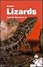 All About Lizards