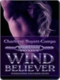 WindBeliever