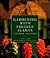 Gardening With Foliage Plan...