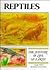Reptiles (History of Life on Earth Series) (English and Italian Edition)