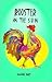 Rooster in the Sun
