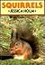Squirrels