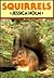 Squirrels