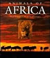 Animals of Africa Animals of Africa