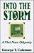Into the Storm: A Vietnam O...