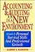 Accounting & Auditing in a New Environment: A Guide to Personal Survival Skills and Professional Growth