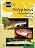 AQUALOG: Polypterus - Bichirs (English and German Edition)